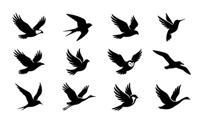 Fototapeta premium Elegant Flying Bird Silhouette Vector Set Minimal Black Animal Icons for Logo Branding and Creative Design