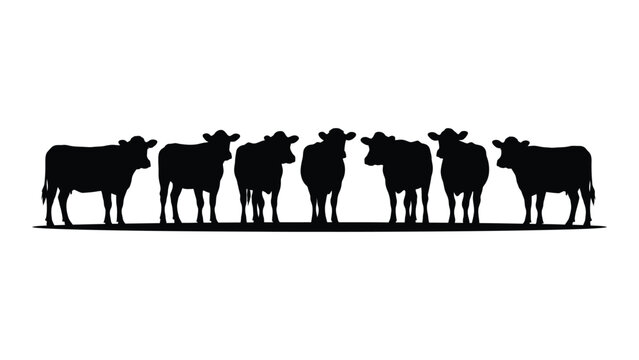 Black silhouette herd of cows standing together in a line