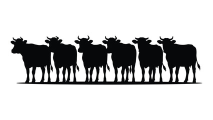 Obraz premium Five black silhouetted cows standing in a line facing forward