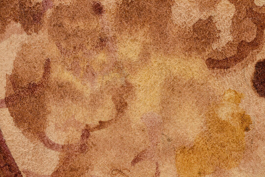 Intense watercolor blotches on paper, warm sienna and amber washes blending with ochre and rust tones, soft granulation and organic bleed suited for stationery and textile designs