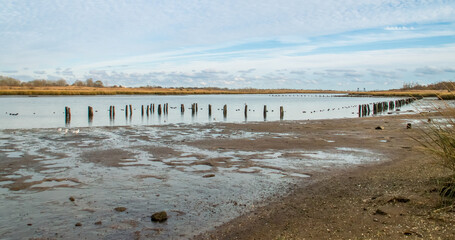 Pilotes de madera semisumergidos en el paisaje de marismas de Long Island, Nueva York, EE. UU. Marine Park Salt Marsh en Jamaica Bay, junto a la Avenida U, en las afueras de Brooklyn. © AngelLuis