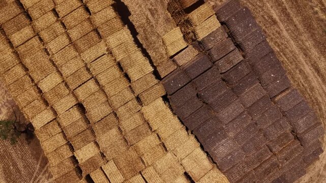 Overhead view of large stacks of golden and brown hay bales arranged in rows on a dry harvested field with dirt tracks visible