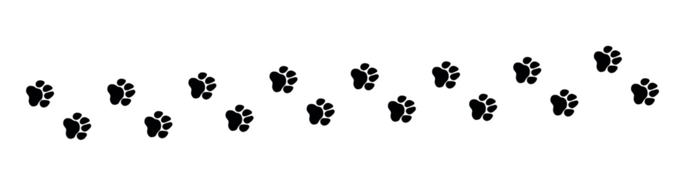 Dog paw print. Paw icon. Vector illustration.
