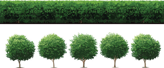 Green Tree and Hedge Collection Featuring Round Ornamental Trees, Dense Shrubs, and Seamless Bush Borders for Landscape Design Vector Set © Abul