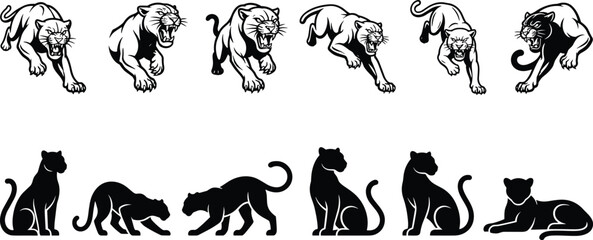 Dynamic panther illustrations in attacking poses and calm silhouettes, wild feline artwork, predator vector design, strength and elegance collection © Artist RH