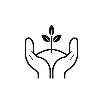 Three leaf clover plant with curved stems icon