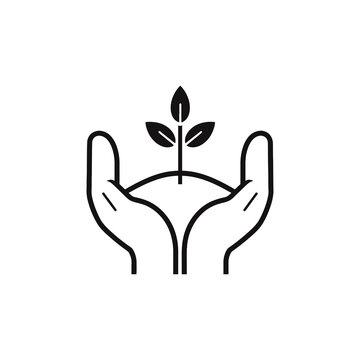A minimalist line drawing of hands cradling a growing plant