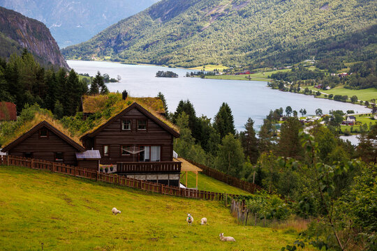 Traditional wooden house with grass roof overlooking a Norwegian fjord