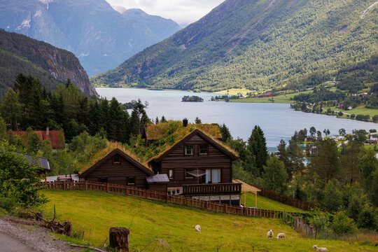Traditional wooden house with grass roof overlooking a Norwegian fjord