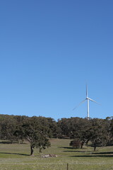 Obraz premium Single Wind Turbine Rising Above Eucalyptus Forest in Rural Australia