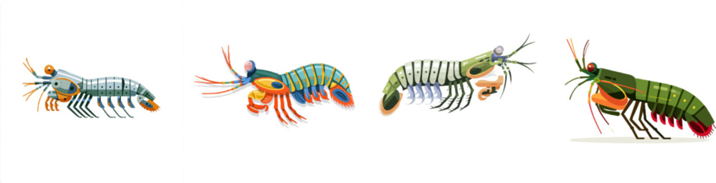 A flat 2D vector art of a peacock mantis shrimp extends its dactyl club appendage in a high-speed underwater strike, rendered with minimalist geometric shapes, clean lines, and a palette of emerald