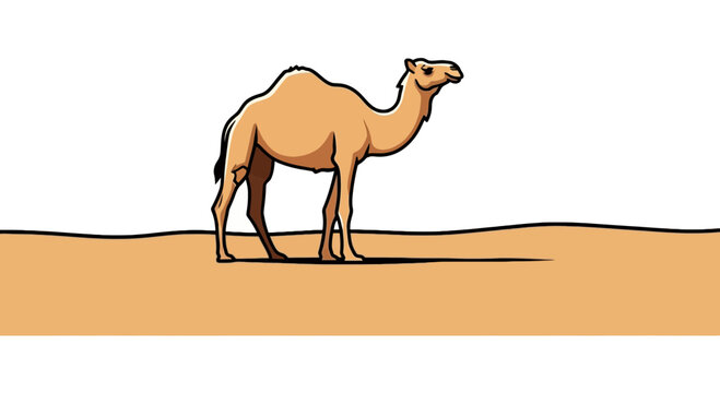 Dromedary camel standing in the sandy desert