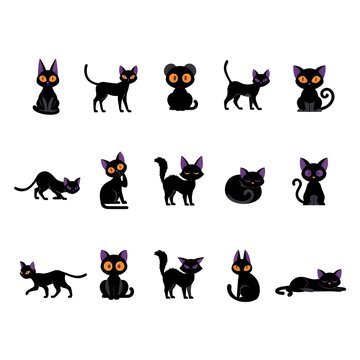 Playful Black Cat Collection