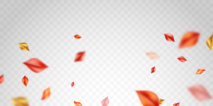 Falling leaves, leaves flying from trees, beautiful vector illustration.