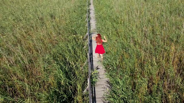 Aerial view of woman in red dress walking on a wooden walkway, surrounded by green reed in natural sunlight