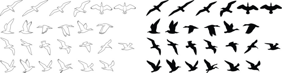 Fototapeta premium Flying Seagull Birds Big Collection Line Art and Silhouette Vector Icon Set