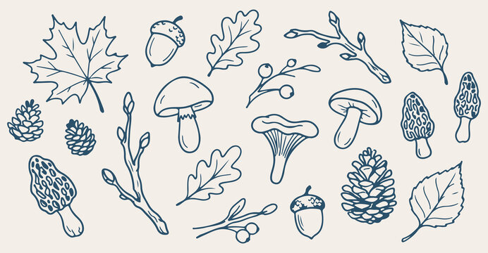 woodland mushroom seamless pattern, hand drawn forest leaf line art, autumn acorn vector illustration, botanical flora doodle background, seasonal nature wallpaper, vintage autumn sketch print, contin