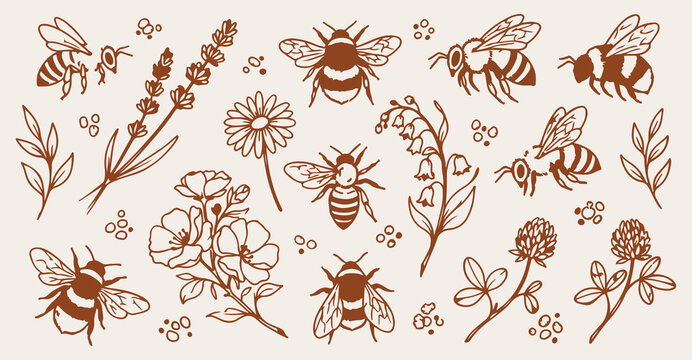 honeybee garden seamless pattern, hand drawn lavender flowers line art, apiculture insect vector illustration, natural honey doodle background, botanical flora wallpaper, vintage bee sketch print, con