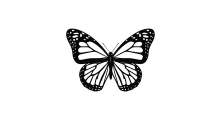 Monarch butterfly silhouette with detailed wing patterns © vanc