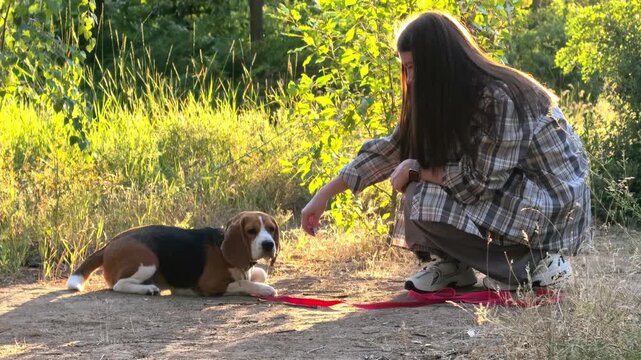 Beagle dog lies down during outdoor training with a teenage owner, pet obedience, canine learning, playful interaction, animal companionship.