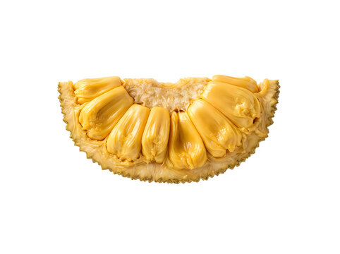 Slice of fresh jackfruit isolated on white background