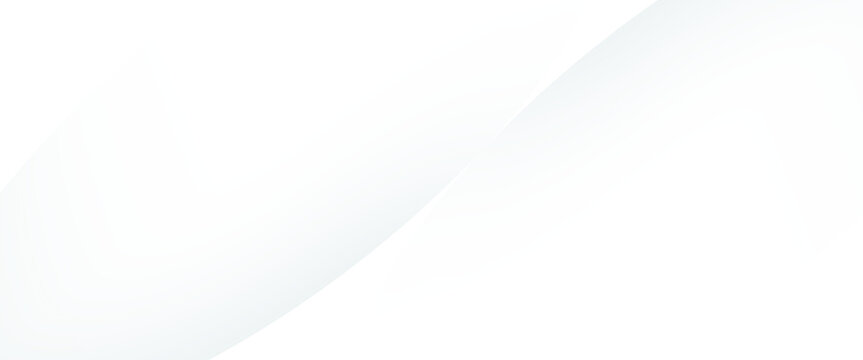 Minimal White Gray Curve Fold Business Presentation Background