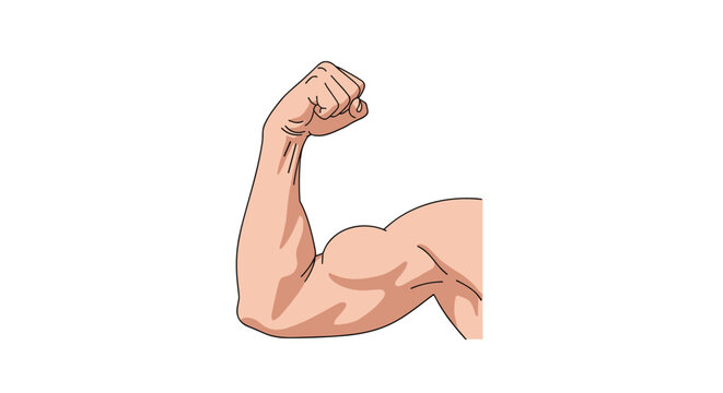 Strong muscular male arm flexing biceps muscle showing fitness and absolute power isolated on white background.