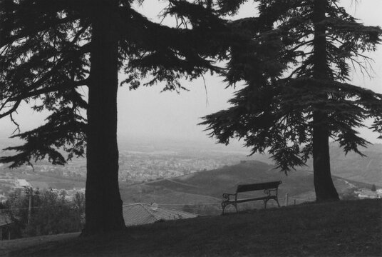 A Bench with a Beautiful View on the Oltrep&ograve; Pavese Hills during a Cloudy Autumn Afternoon. Cigognola, Pavia Province, Italy. Atmospheric Mood. Black and White Film Photography
