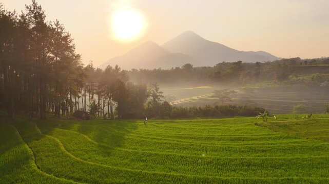 Mountain Landscape at Sunrise with Morning Mist and Golden Light