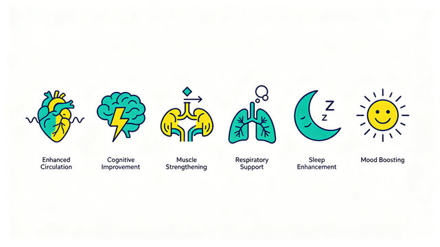 Complete display of circulatory system maintenance icons, promoting blood circulation, improving cognition, strengthening muscles, maintaining respiratory system, enhancing sleep quality, and boosting