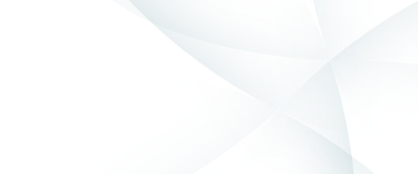 Minimal White Gray Curve Fold Business Presentation Background