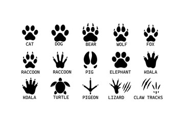 Set of wild animal paw prints and tracks icons with footprints wildlife silhouette elephant footprint © Md