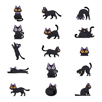 Charming Halloween Cats