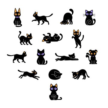 Playful Black Cat Collection