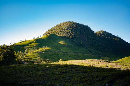 Scenic view of sun-drenched terraced green hills of Bukit Sunan Ibu near Mount Patuha, Bandung, West Java, Indonesia.