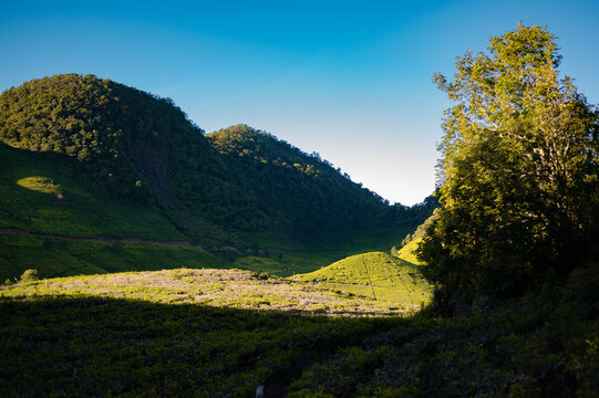 Lush green valley and hills framed by trees at Bukit Sunan Ibu near Mount Patuha, Ciwidey, Bandung, West Java, Indonesia.