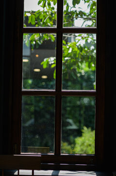Old Wooden Window with Glass Panes Showing Lush Green Garden Outside