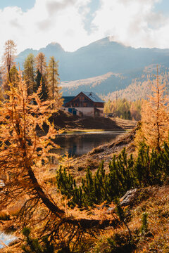 Alpine Chalet Reflected in Mountain Lake Surrounded by Autumn Larch Forest in the Dolomites