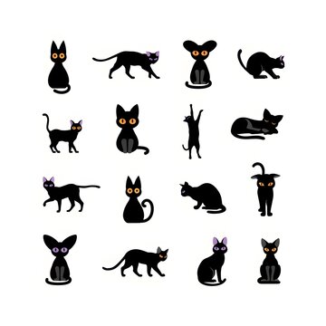 Nocturnal Companions