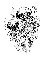 Fototapeta premium Group of jellyfish with flowing tentacles underwater