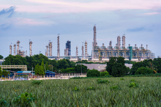 Oil Refinery Industrial Plant Surrounded by Green Fields at Dusk in Southeast Asia