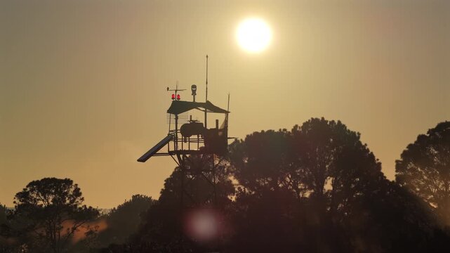 Silhouette of a forest watchtower against the rising sun, surrounded by pine trees and warm golden morning light.