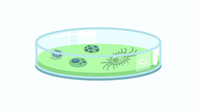 cell culture in petri dish with green medium