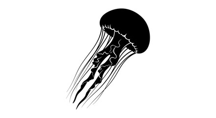 Black jellyfish illustration with flowing tentacles a dark silhouette © Sakib