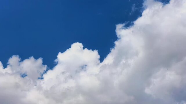 Towering white clouds expand against a deep blue sky in time lapse, dramatic formation, atmospheric motion, natural weather, scenic background.
