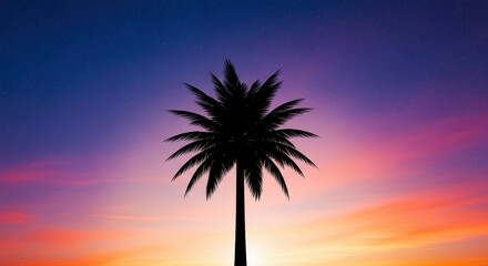 Obraz premium Silhouette Palm Tree Against Vibrant Sunset Sky with Stars