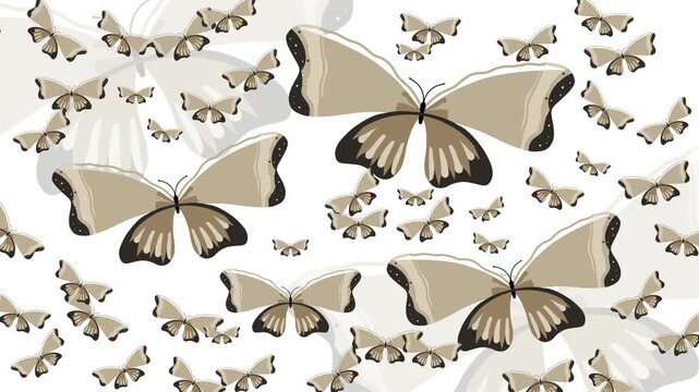 Butterfly pattern animation background with brown color ideal for springthemed designs, scrapbooking, stationery, and digital wallpapers.