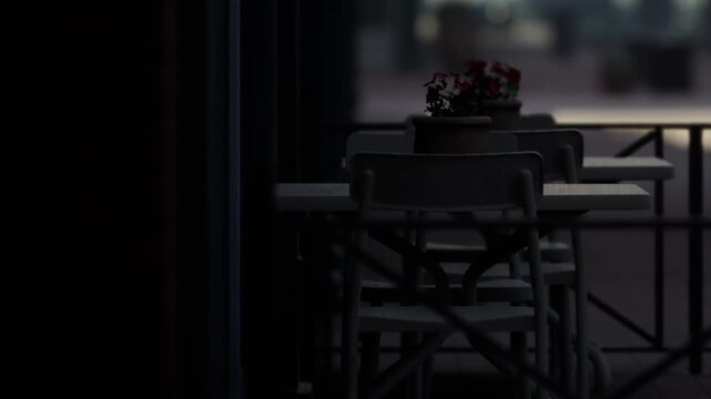 Two small tables sit outside a building with flower pots placed on each table. The sunlight falls softly on the outdoor area creating shadow patterns.