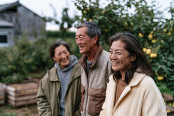 Fototapeta premium Three friends share hearty laughter in an apple orchard, showcasing the joy of friendship and nature's beauty amid vibrant apple trees ripe for picking.