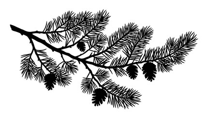 CAD tree lines,  pine tree, Pine branch silhouette with cones, black evergreen spruce twig vector, coniferous fir tree bough for winter holiday design and nature decor Vector © MST